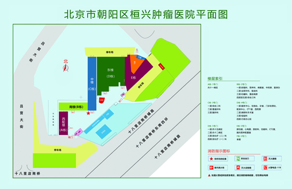 一级黄色靠逼毛片北京市朝阳区桓兴肿瘤医院平面图